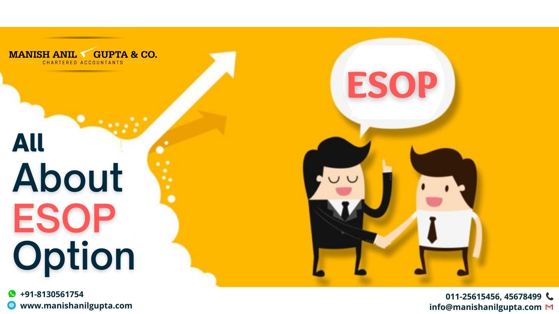 All ABOUT ESOP OPTION